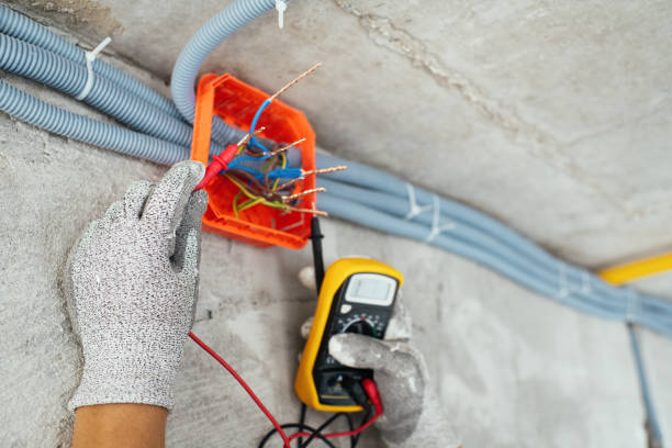 Best Electrician for Home Renovation  in Fountain, CO